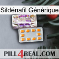 Sildénafil Générique new12